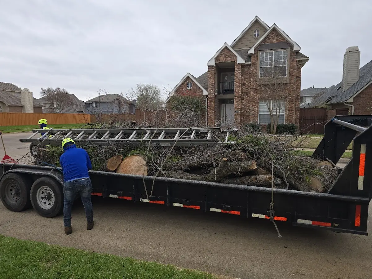 Expert Tree Fertilization with proper safety equipment in Merced